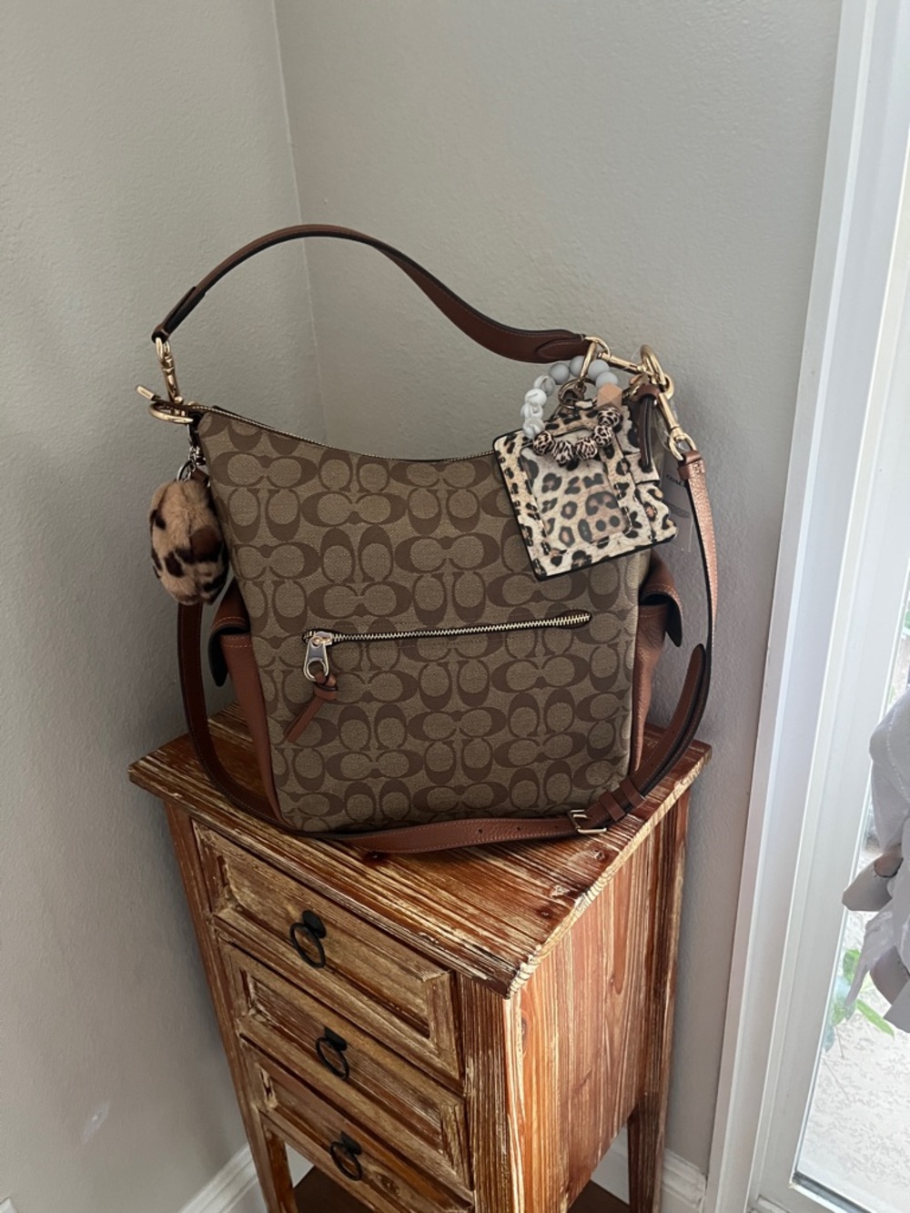 Coach Signature Canvas Hobo Bag in Brown & Tan